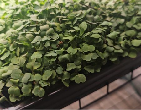 Screenshot_20241004_160802_Gallery