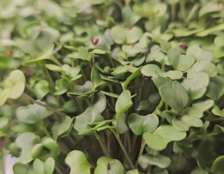 Screenshot_20241004_160810_Gallery