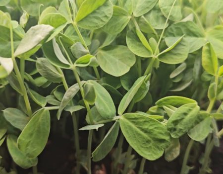 Screenshot_20241004_160815_Gallery